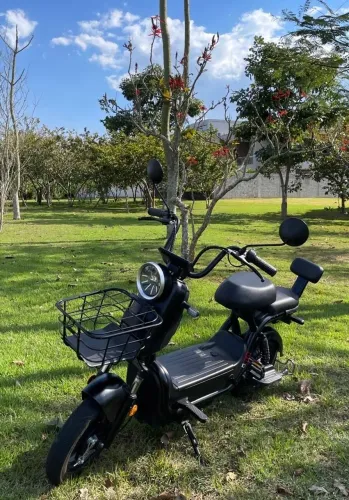 Moto eletrica da Eco wm modelo X2 500w