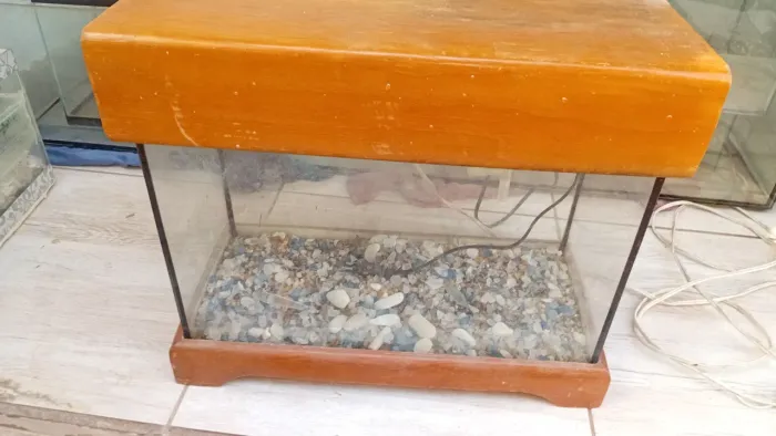 Aquário 17 litros completo 