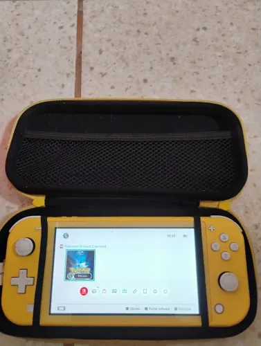 Nintendo switch lite