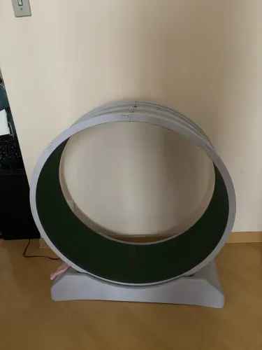 Roda para gatos