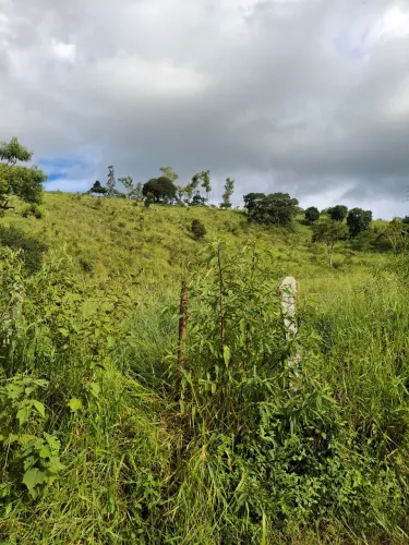 Paraíso da serra em Cambuí