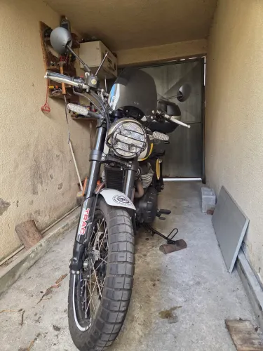 Bear 650 Scram