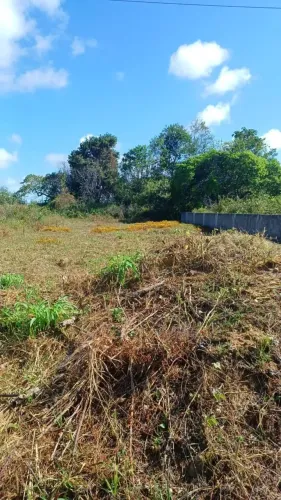 Oportunidade! Terreno no Portal do Sol (384m²) - Excelente Localização