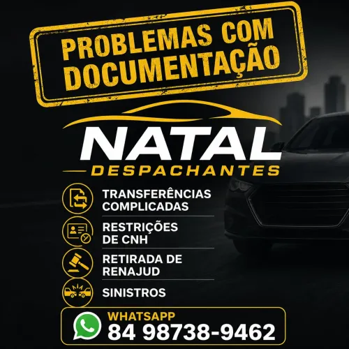 Despachante Veículos - Natal
