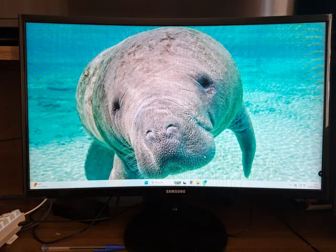 Monitor Gamer Samsung Curvo 24 Pol