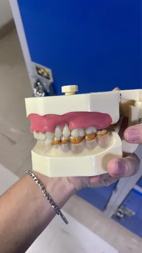 Manequim de periodontia