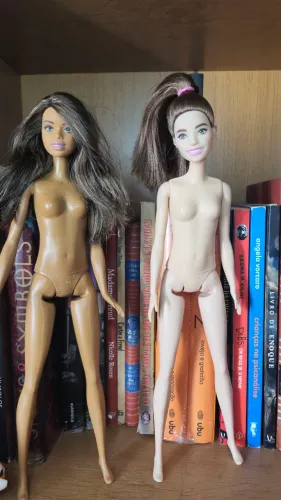 Duas Barbie Fashionistas Tall