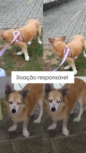 Doação