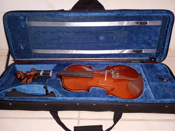 ? Violino Eagle VE-441 4/4 Completo + 2 Cordas Novas