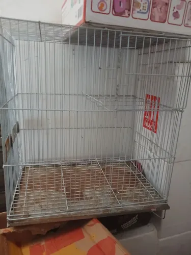 Gaiola para calopsita