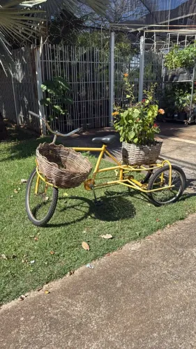 Bicicleta cargueira decorativa