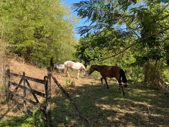 360.000m2 Fazenda Sítio Grande