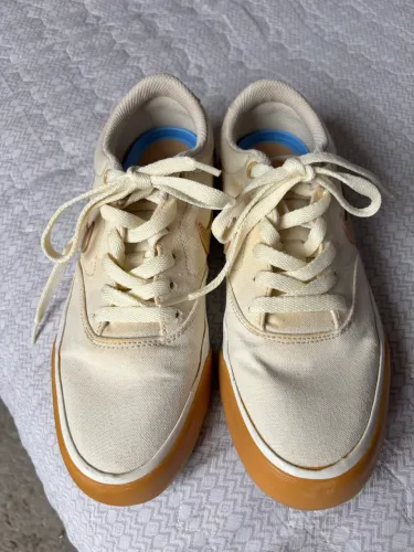 Tênis Nike SB Canvas feminino 