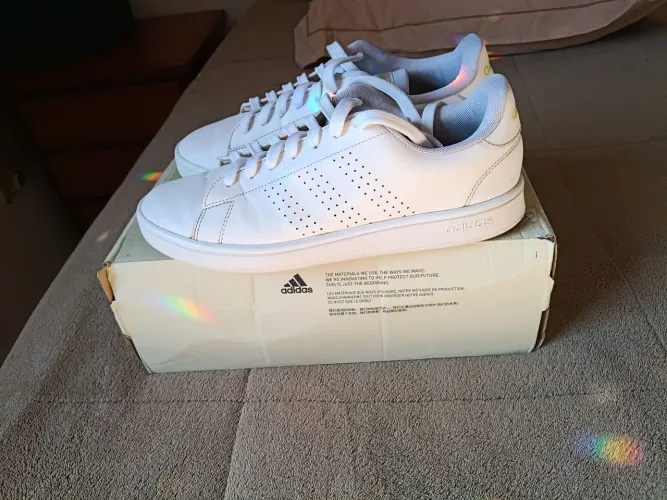 Tênis Adidas Advantage base 41