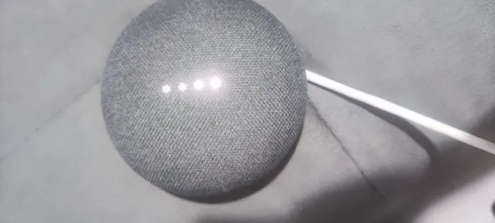Google Home Mini 1ª Geração