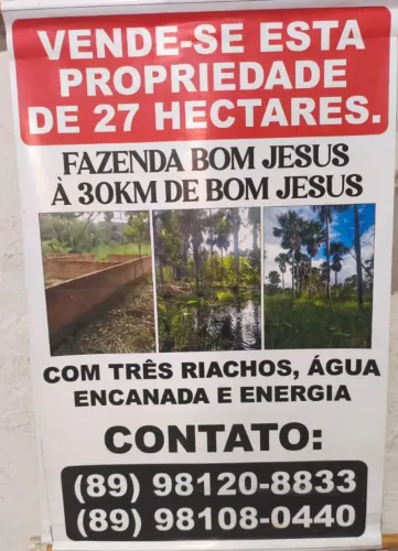 Vende-se Propriedade de 27 Hectares com 3 riachos, localizado a 30KM de Bom Jesus - PI