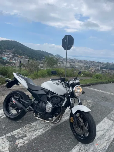 Hornet branca