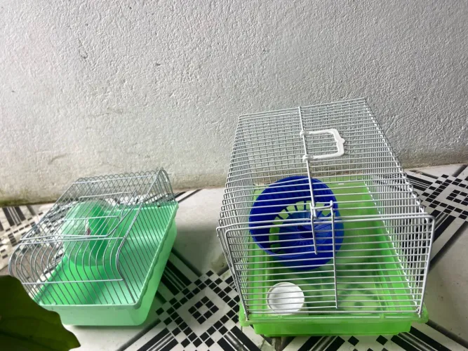 Gaiolas de hamster