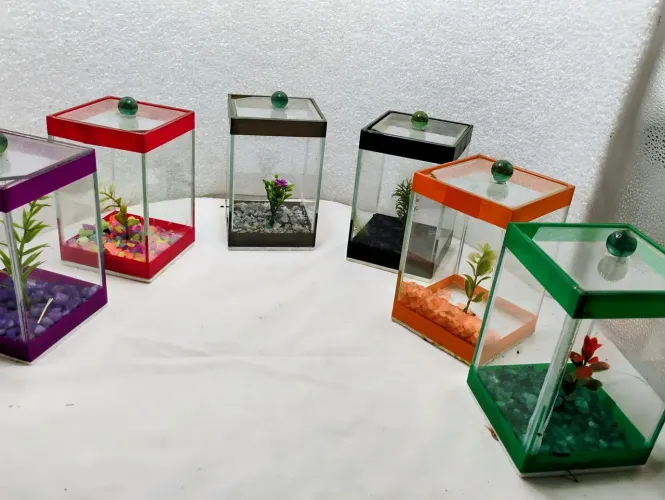 Lote 6 Aquários Novos