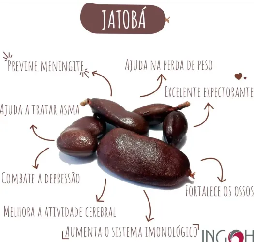 Farinha de Jatobá