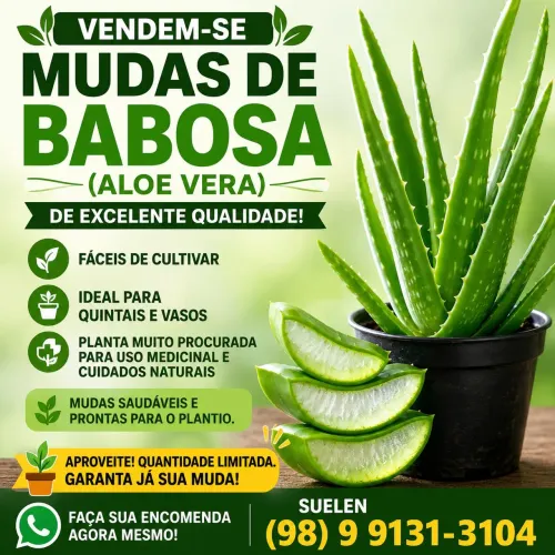 Babosa 