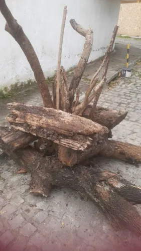 Fogueira para São João 