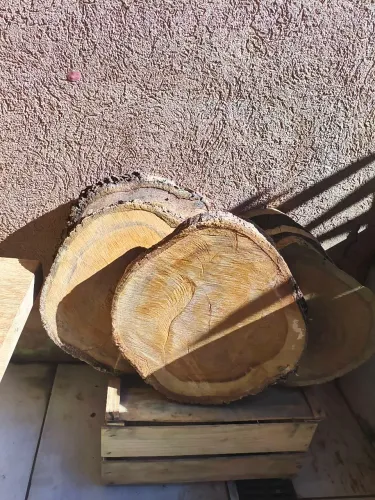 Vendo bolacha