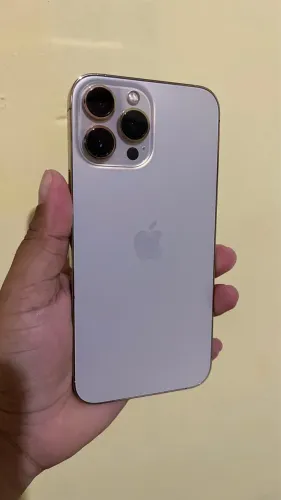 IPhone 13 Pro Max ( aceito pix e cartão )