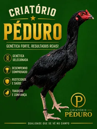 Franga de qualidade 