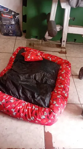 Cama para cachorro 