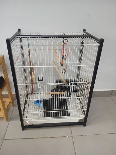 Gaiola para calopsita