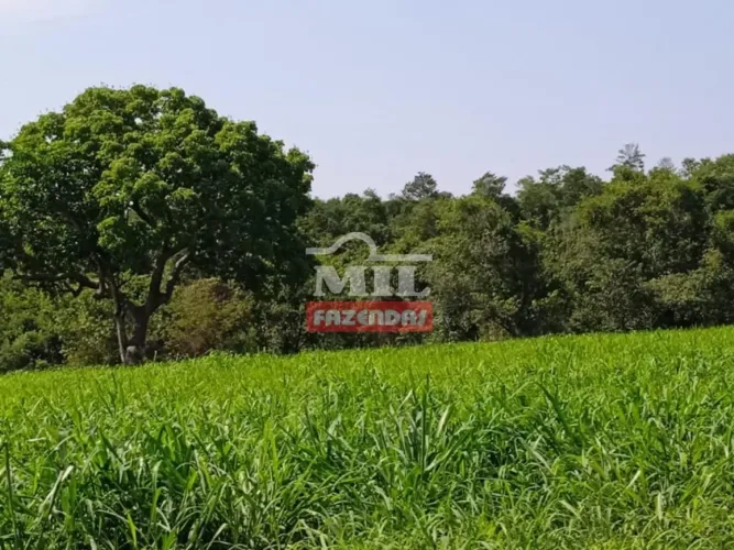 Fazenda em Cachoeira Alta-GO. (153 Alqueires)