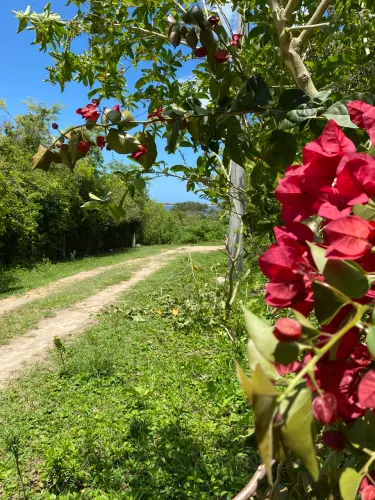 Lotes a venda 500 m2 em Vilatur Saquarema 