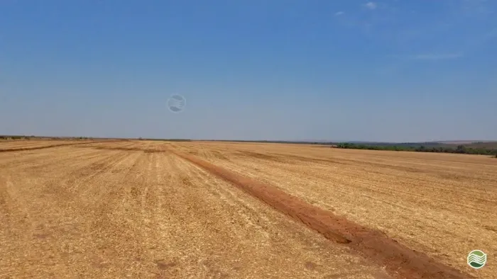 FAZENDA A VENDA EM CAXIAS