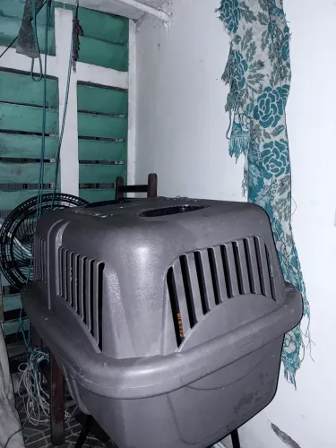 CAIXA DE CACHORRO
