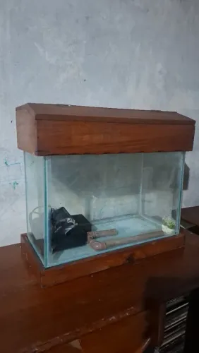 Aquário 