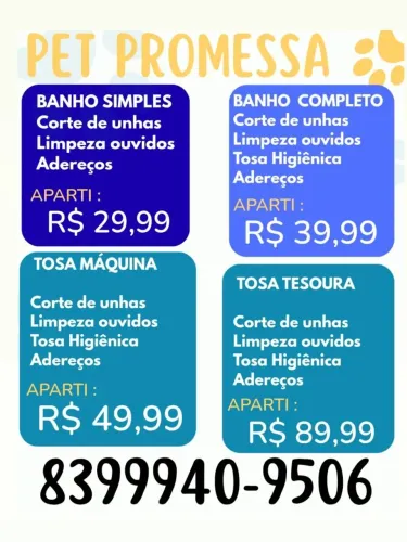 Banho e tosa