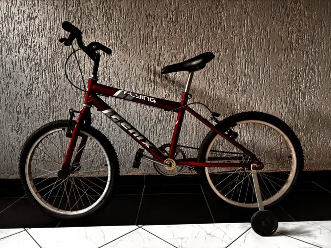 Bicicleta Infantil Fênix Flying Aro 20 com Rodinhas de Apoio na