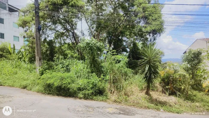 Vendo terreno no aprazível bairro Castália 