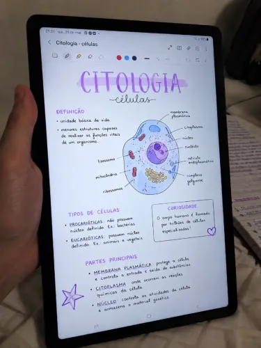 Samsung Galaxy Tab S6 Lite (sem detalhes)