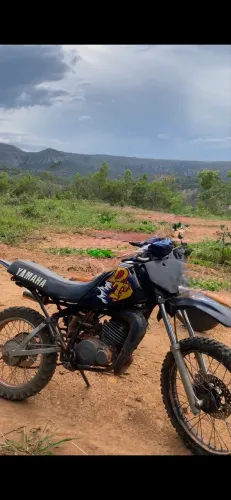 DT de Leilão 
