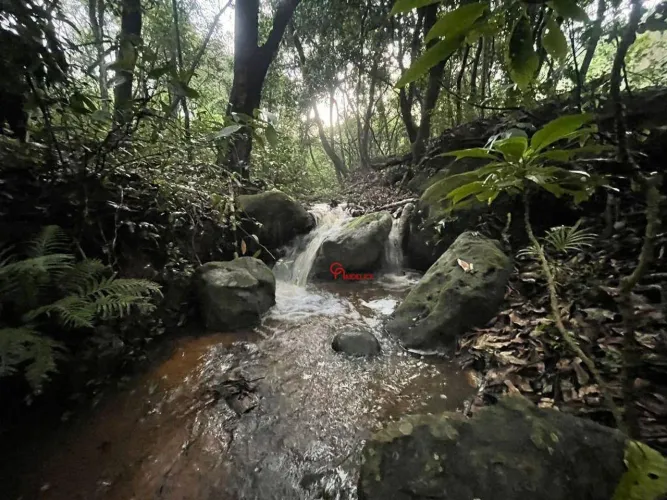 Sítio com 2 dormitórios à venda, 363000 m² por R$ 1.600.000,00 - Itirapina - Itirapina/SP