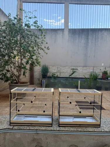 Gaiola 100 reais cada