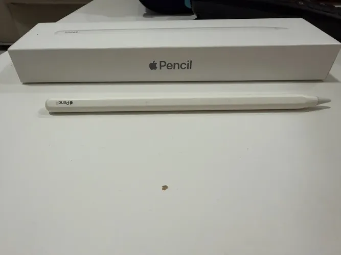 Apple Pencil 2ª Geração - Original