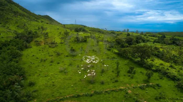 Fazenda à venda, 1358680 m² por R$ 6.720.000,00 - Ribeirão - Amparo/SP