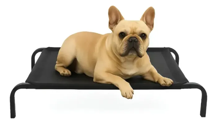 Cama Place Adestramento Cachorro Pet M Ortopédican Suspensa