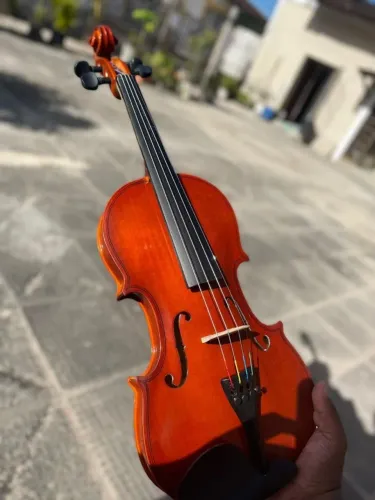 Violino Vivace