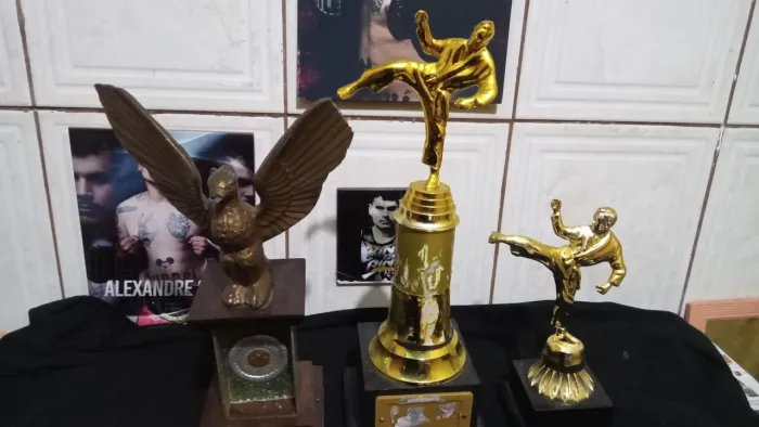 Troféus de karatê 