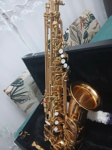 Vendo sax alto em estado de novo vai com case original dele marca schiffer