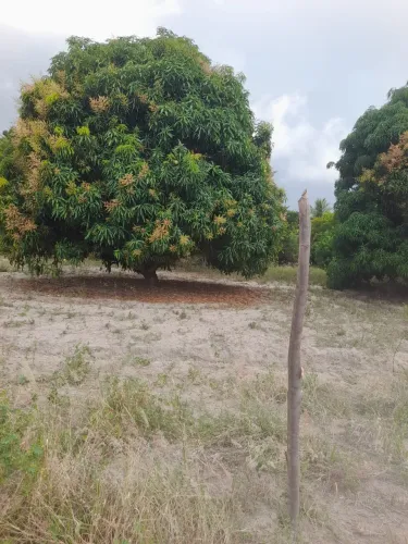 Área com Rio Perene no litoral Sul
